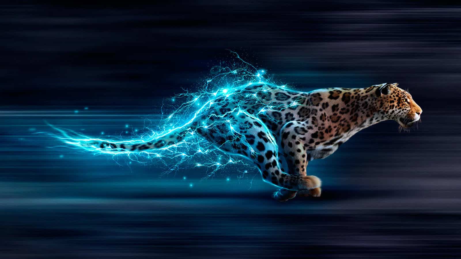 Performance Hybrid visuals