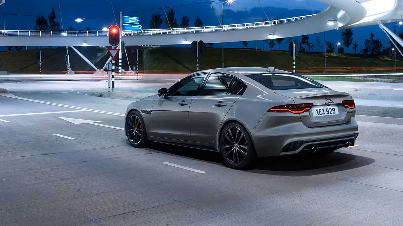 Grey Jaguar